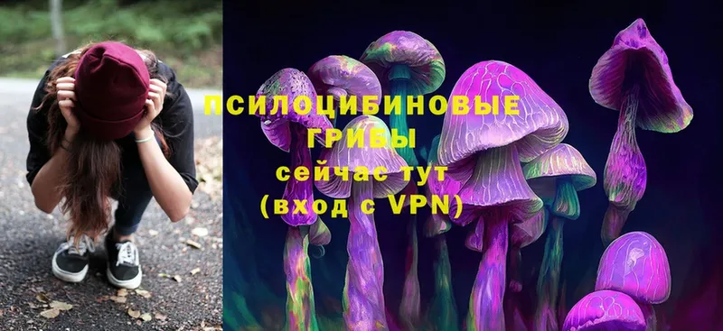 Псилоцибиновые грибы MAGIC MUSHROOMS  нарко площадка формула  Ильский 